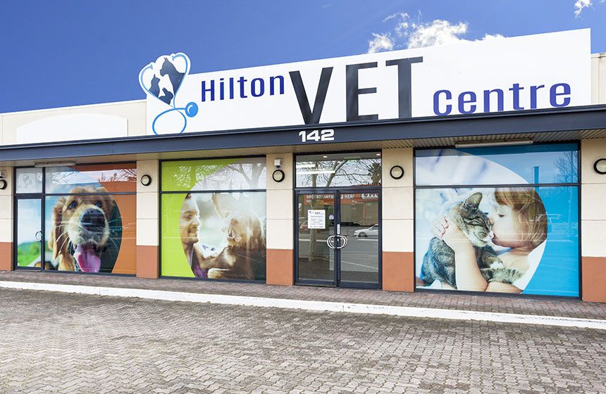 Hilton Vet Centre Signage