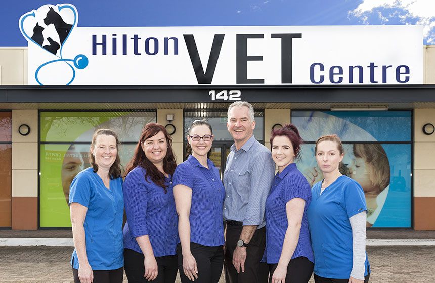 Hilton Vet Centre Team